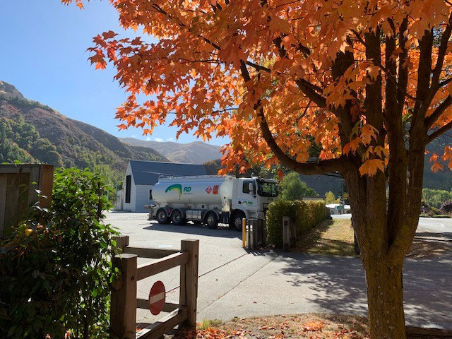 orange maple in front of country homestead